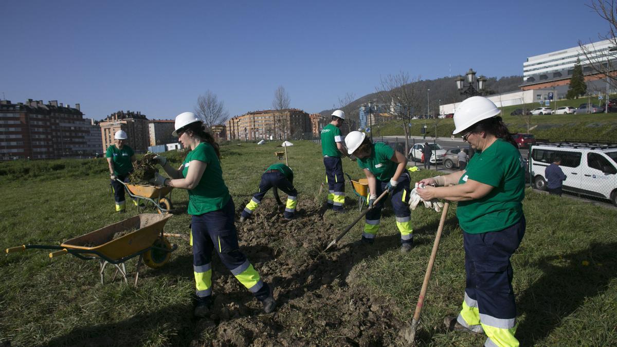 Foto de archivo de un plan de empleo de Oviedo.