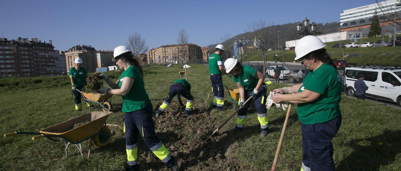 Foto de archivo de un plan de empleo de Oviedo.