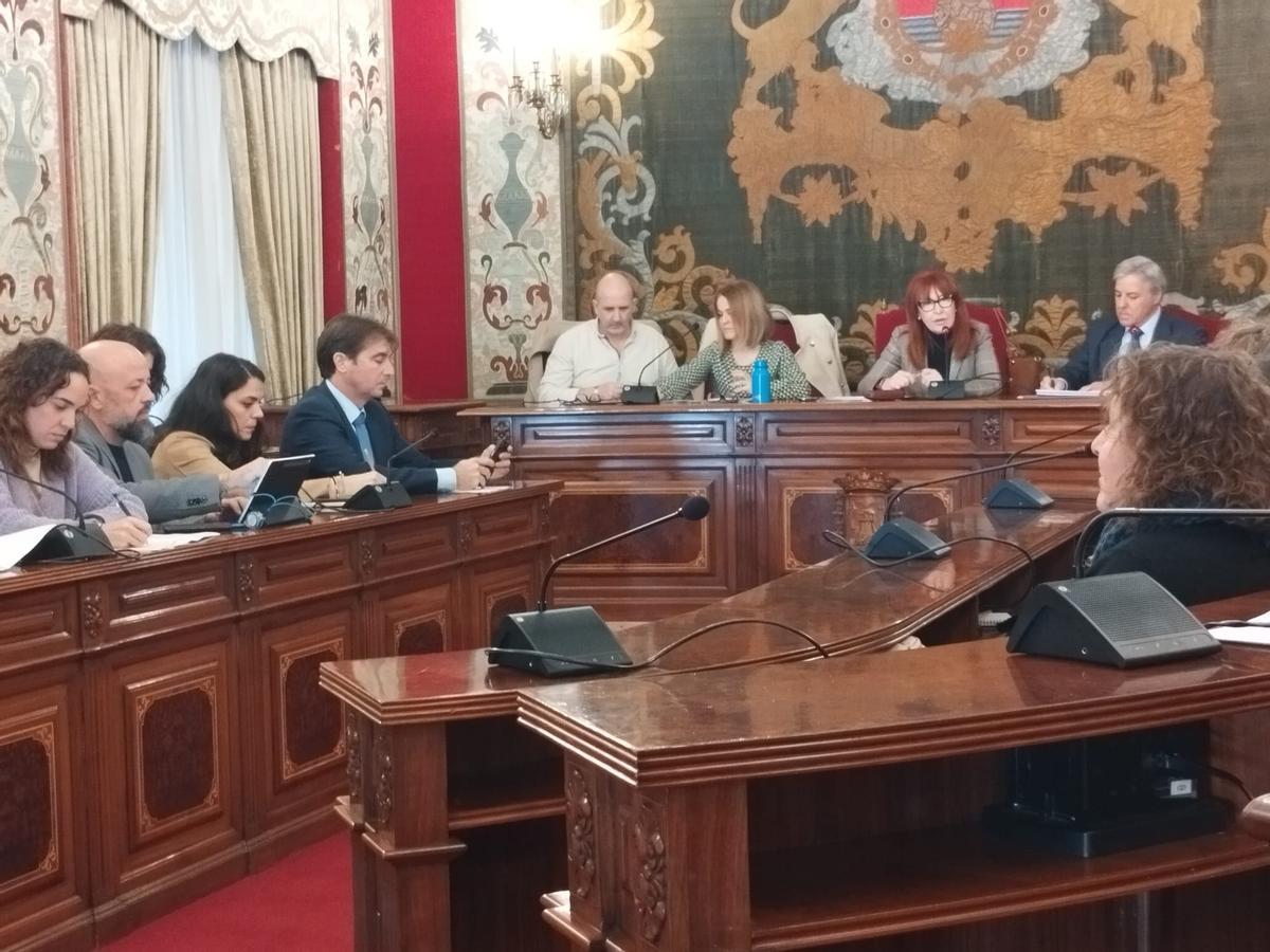Sesión de la constitución del Consejo Municipal de Personas con Diversidad Funcional en el Ayuntamiento de Alicante.