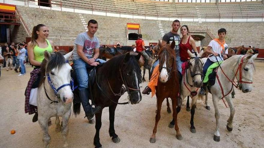 Los caballos pasaron la noche en la Plaza de Toros de Pontevedra.  // Gustavo Santos