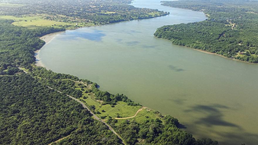Contradicción: construyen una autopista en plena Amazonía para la cumbre climática COP30