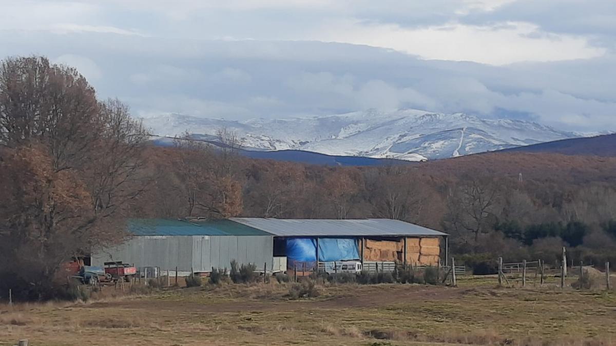 Sierras cubiertas de nieve en Sanabria.