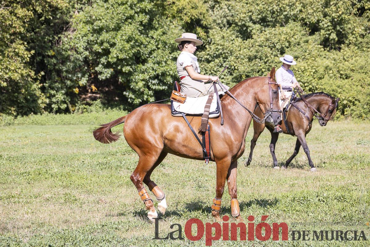 Romería de los Caballos del Vino de Caravaca, en imágenes
