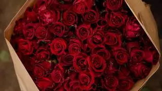 Así serán las rosas este Sant Jordi 2024 en Barcelona: rojo pasión y sin cono de plástico
