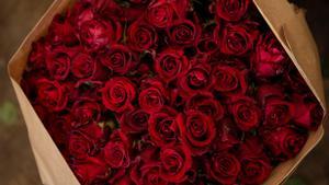 Rosas de Sant Jordi, en el Mercat de la Flor de Vilassar de Mar.