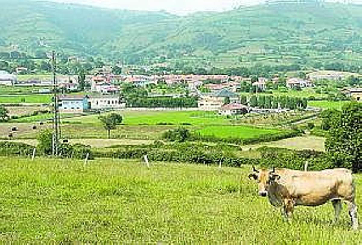 Verde para ver de cerca El mirador Las carreteras El turismo El suelo industrial El paisaje El transporte