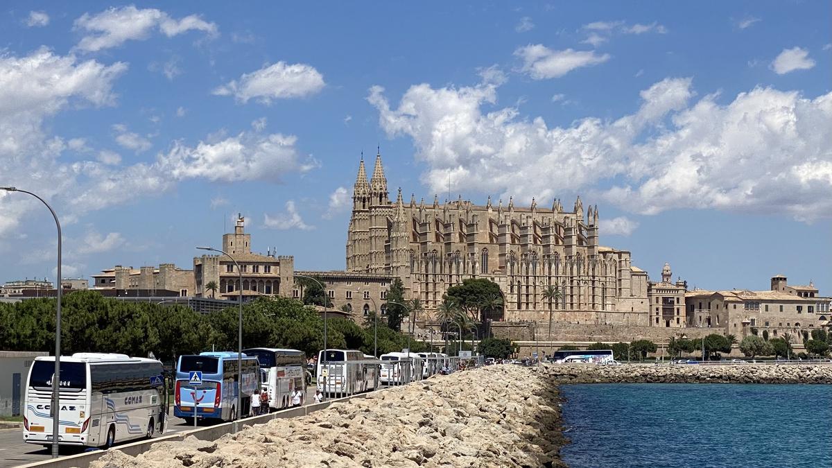 Autobuses turísticos aparcados en el Moll Vell a las tres de la tarde