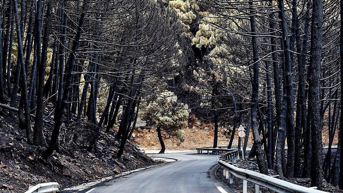 Puerto de Peñas Blancas, tras el incendio.