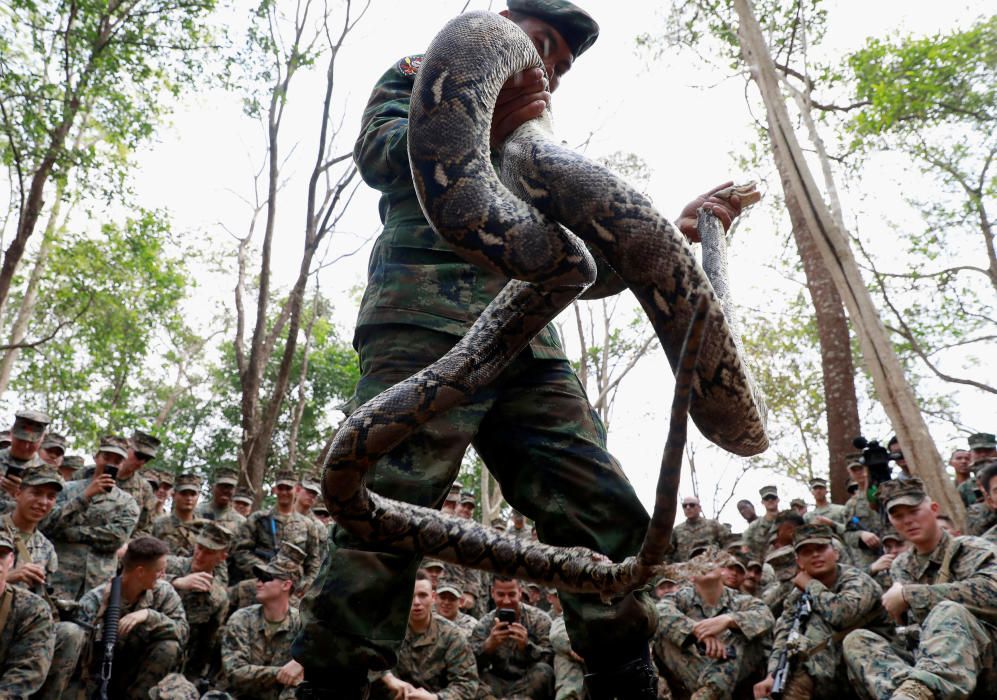 Tailàndia acull el «Cobra Gold», trobada militar anual