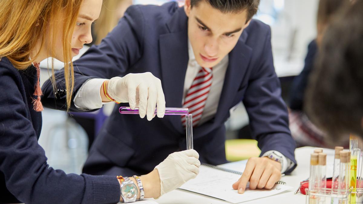 El Colegio Internacional SEK Atlántico cuenta con todas las etapas educativas, desde los 4 meses hasta los 18 años