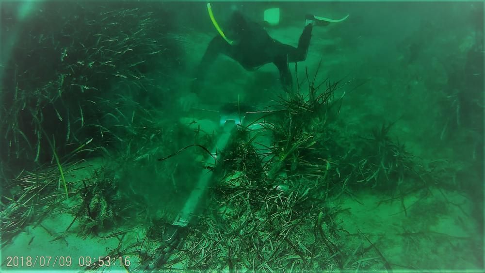 Yacht ankert in geschützten Seegraswiesen vor Portocolom