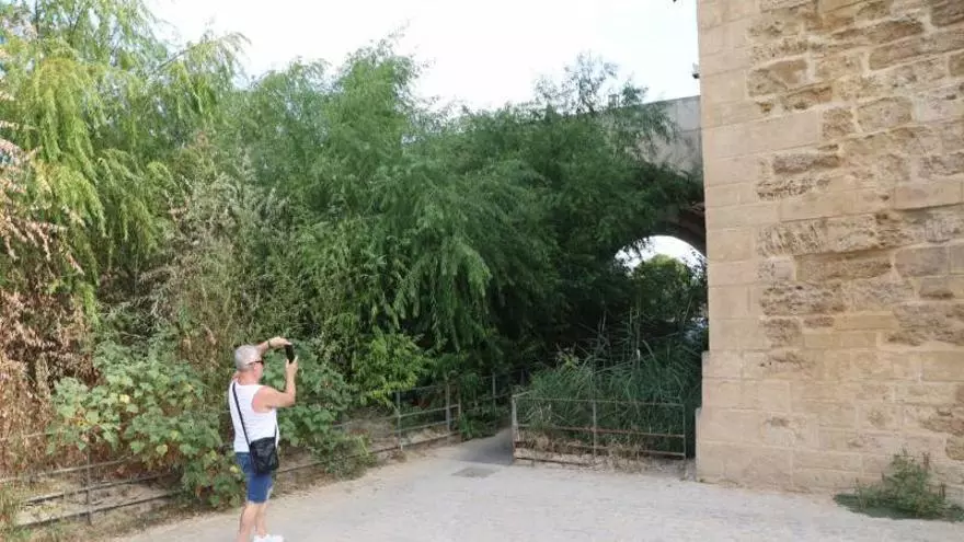 La vegetación toma el Puente Romano
