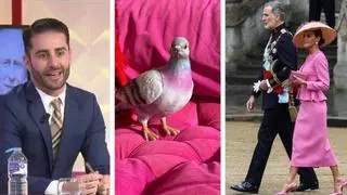 Pelayo Díaz opina sobre el look "Barbie" de la reina Letizia y le hace una original proposición: el bolso paloma