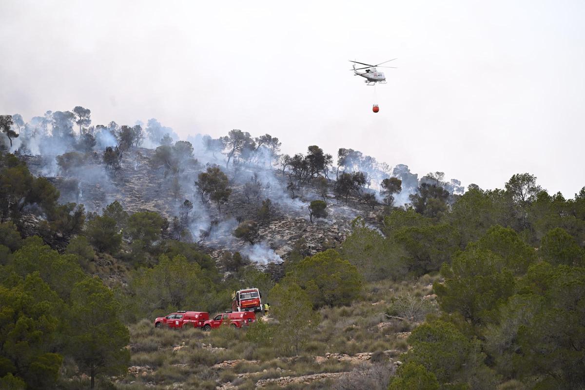 Fuego en Algueña: así está siendo el operativo para la extinción