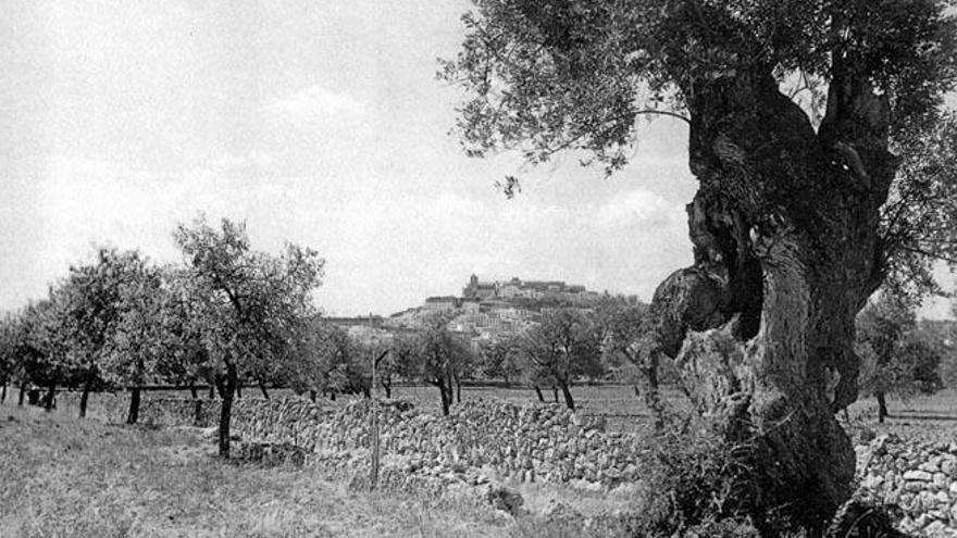 Camí vell de cas Farró, con la ciudad al fondo.