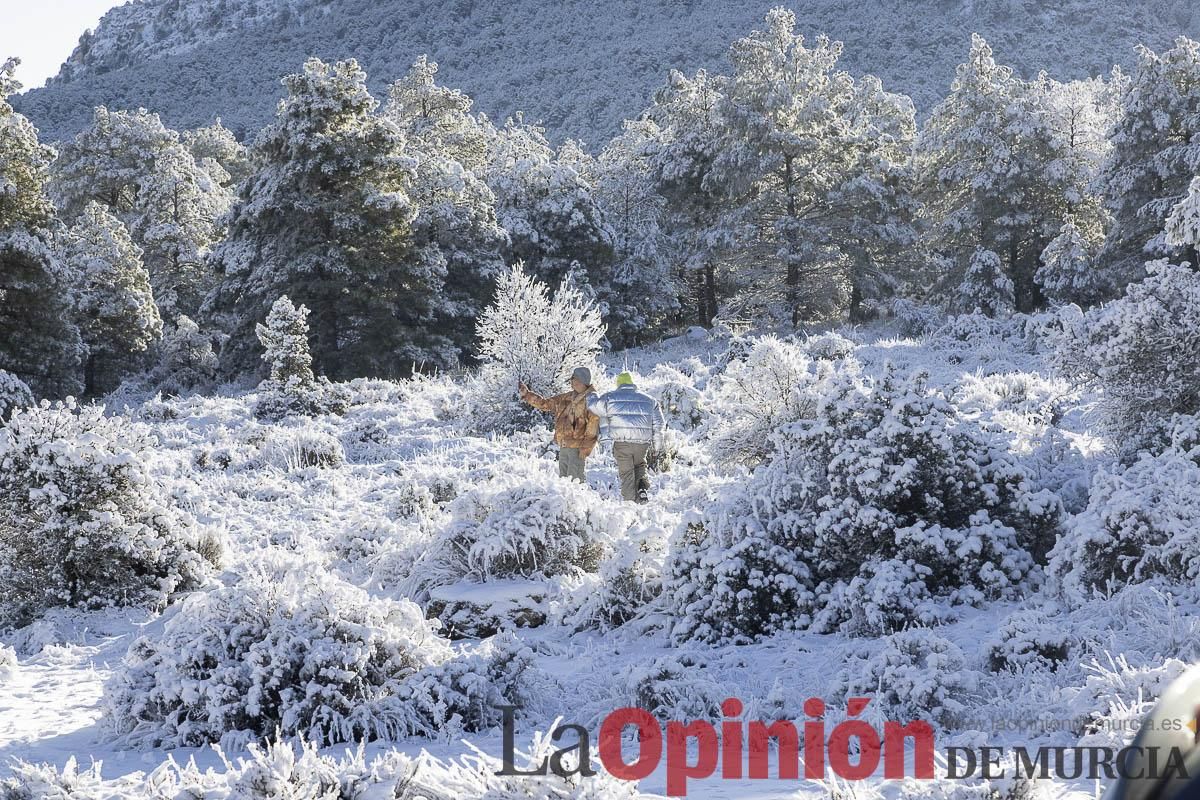 Descubre dónde queda acumulación de nieve en la Región de Murcia