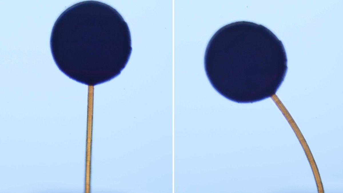 así podrían revolucionar la medicina dentro del cuerpo humano