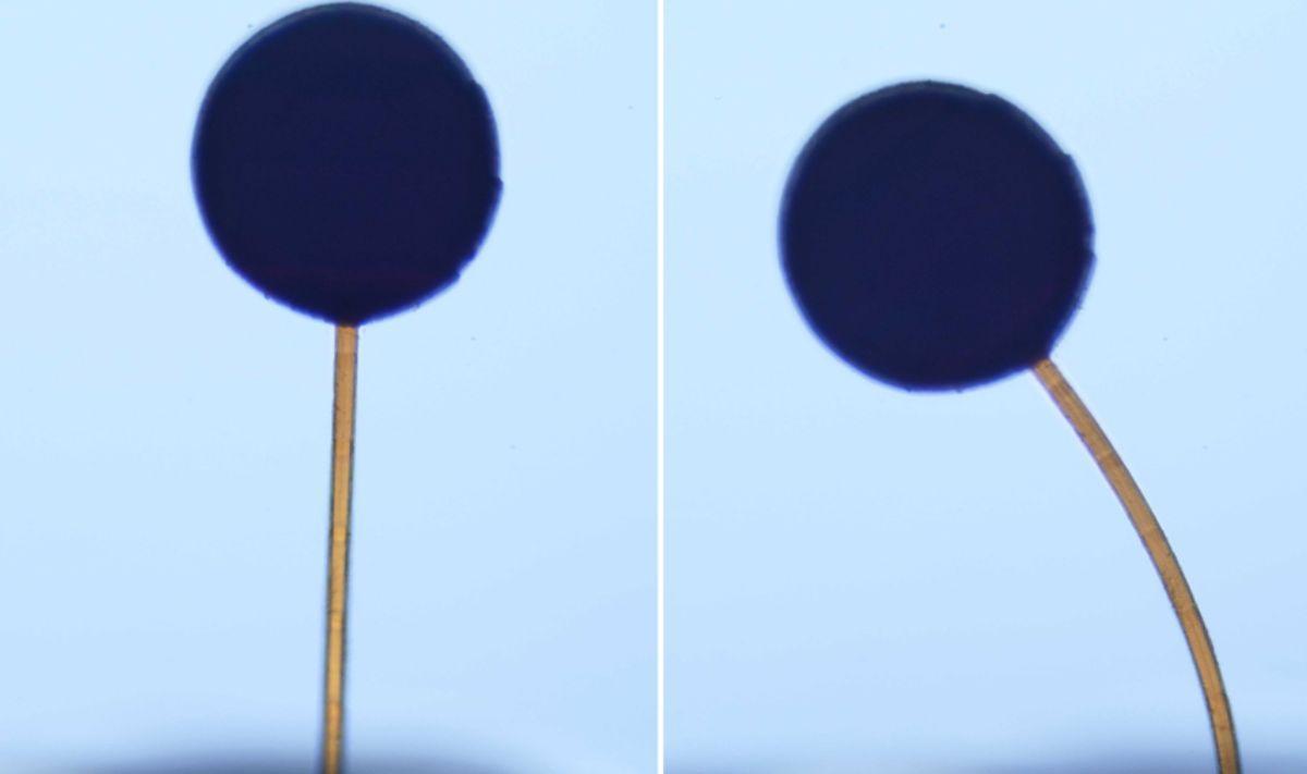 Las microestructuras magnéticas blandas son capaces de ejecutar maniobras complejas y abrir nuevas vías para liberar fármacos o actuar en zonas inaccesibles.