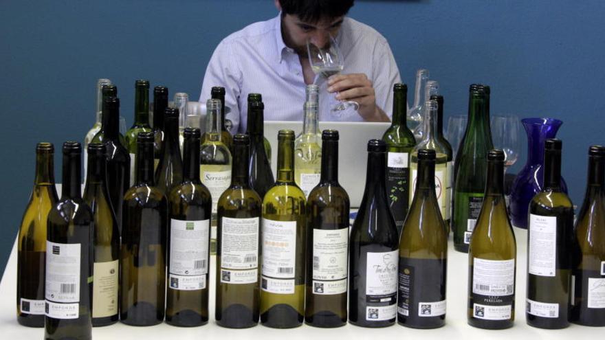 La Guia Peñín qualifica d&#039;«alenada d&#039;aire fresc» els vins de la DO Empordà d&#039;aquest 2013