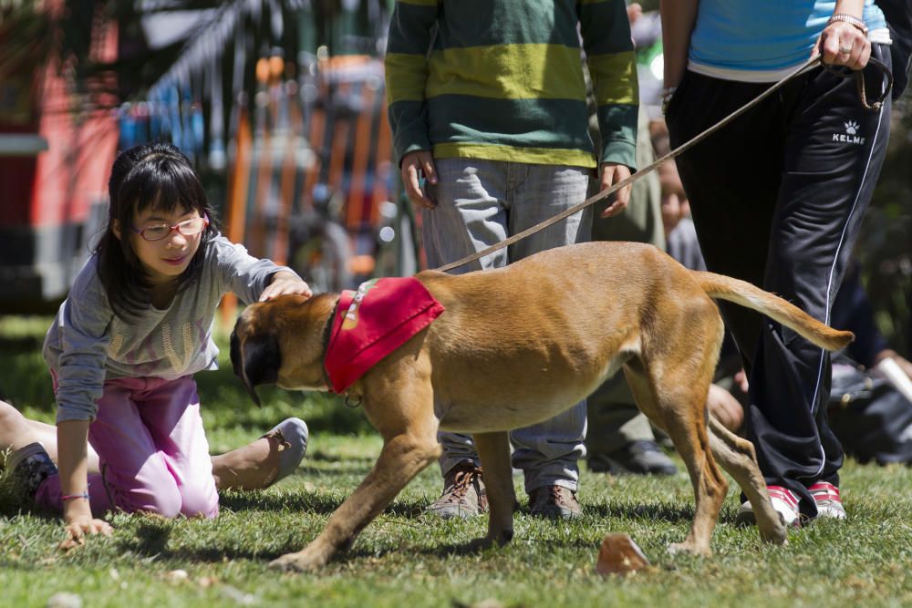 III Feria del Bienestar Animal en Valencia