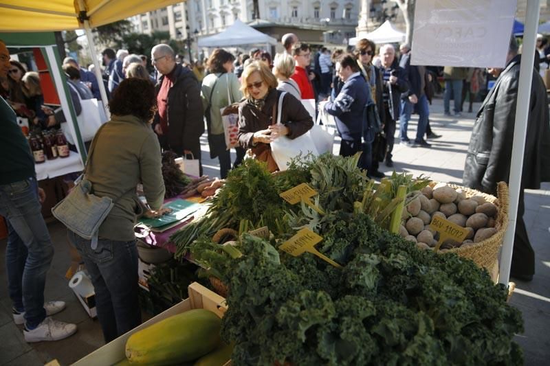 Los productos de proximidad llegan a la ciudad en "De l'horta a la plaça"