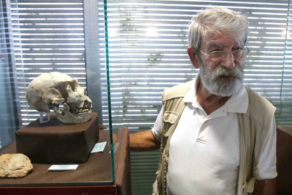 El arqueólogo Julián Ramos, en el centro de interpretación de los yacimientos de La Araña junto a una copia del cráneo de un Homo heidelbergensis, antecesor de los neandertales que habitó las cuevas de La Araña hace cerca de medio millón de años.