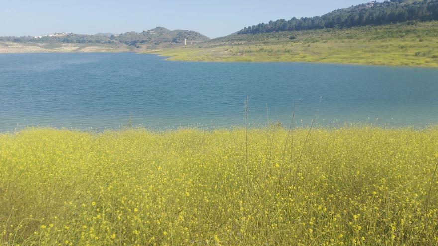 La presa de la Viñuela es la que mejor situación arroja respecto a hace un año, pero venía de una situación de «embalse muerto».