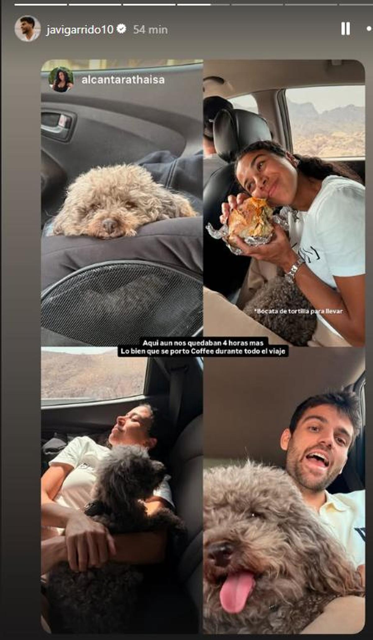 Varios momentos del viaje de la pareja y su perro