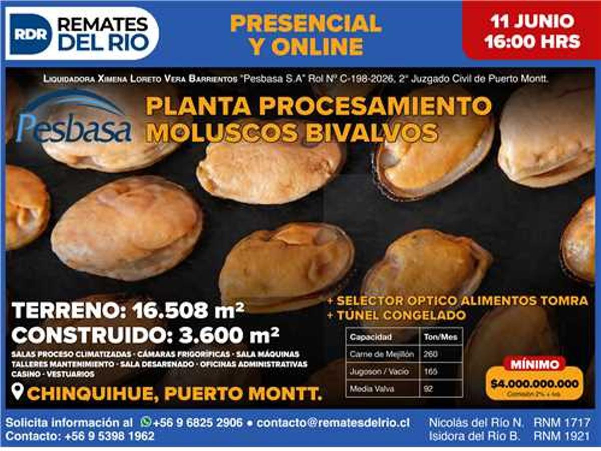 Anuncio de Remates del Río sobre la subasta de la planta.