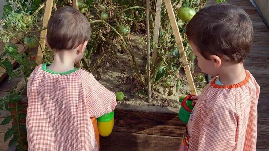 Alumnos de la Escuela Infantil en el huerto escolar.