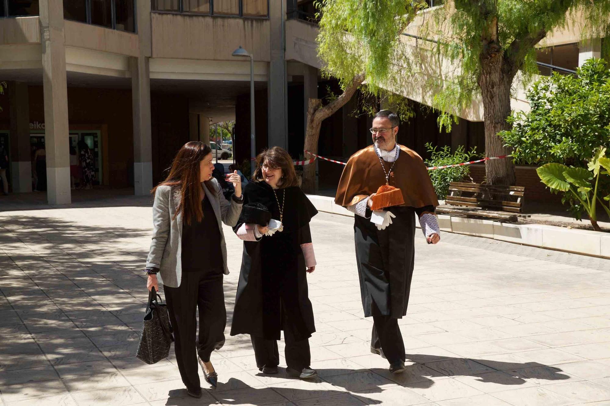 La Universidad de Alicante (UA) clausura el curso con la investidura de 125 nuevos doctores