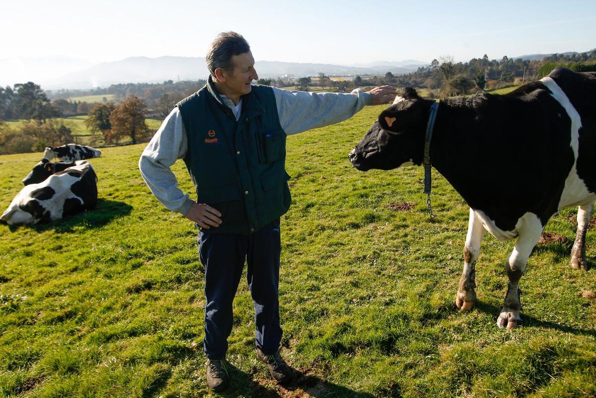 Así es Pruvia, la zona de Llanera que más crece Así es Pruvia, la zona de Llanera que más crece