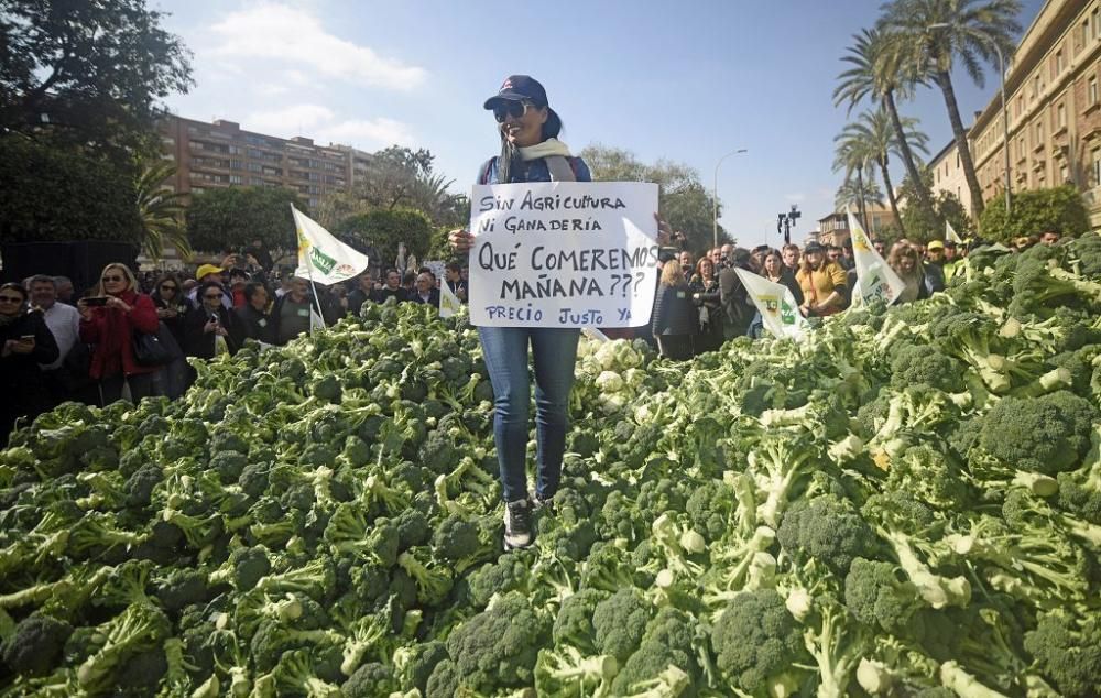 Así ha sido la manifestación de los agricultores en Murcia (II)