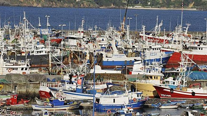 Flota pesquera de A Coruña amarada en el muelle de Oza.