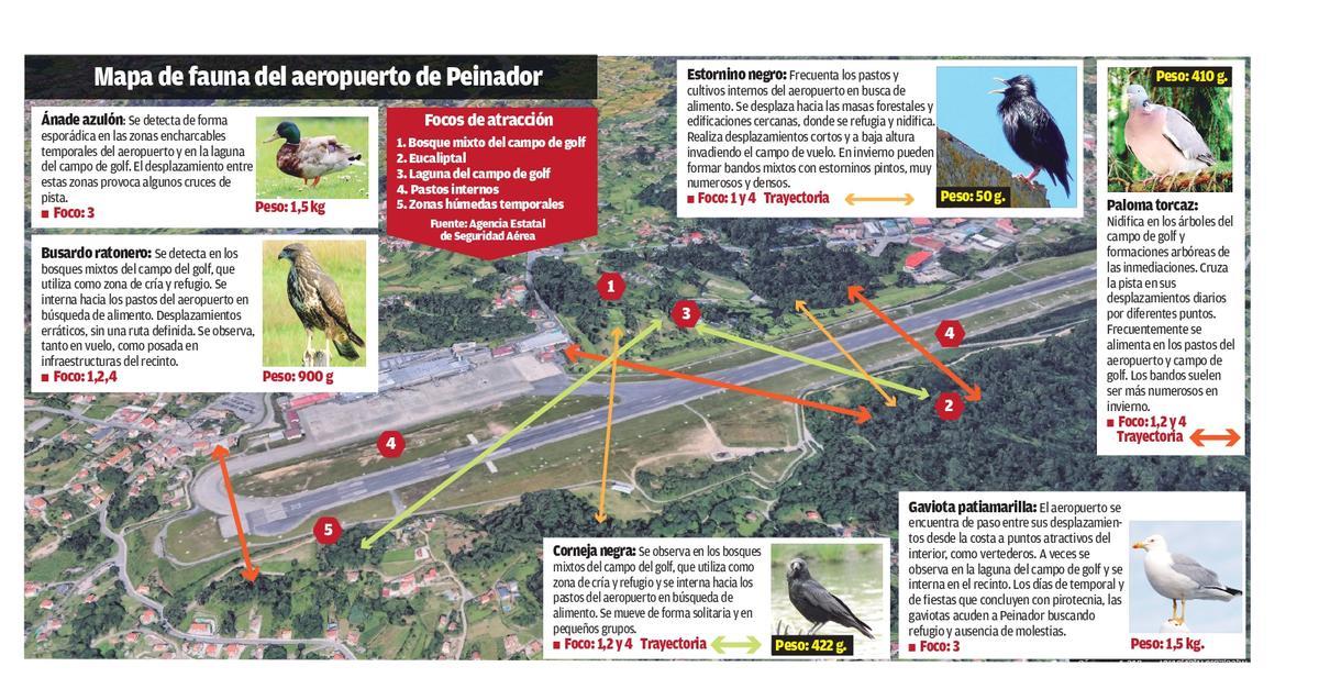 Mapa de la Agencia Estatal de Seguridad Aérea sobre las especies relevantes en el aeropuerto de Vigo