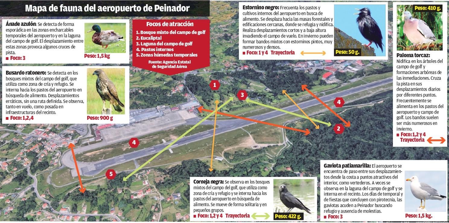 Mapa de la Agencia Estatal de Seguridad Aérea sobre las especies relevantes en el aeropuerto de Vigo