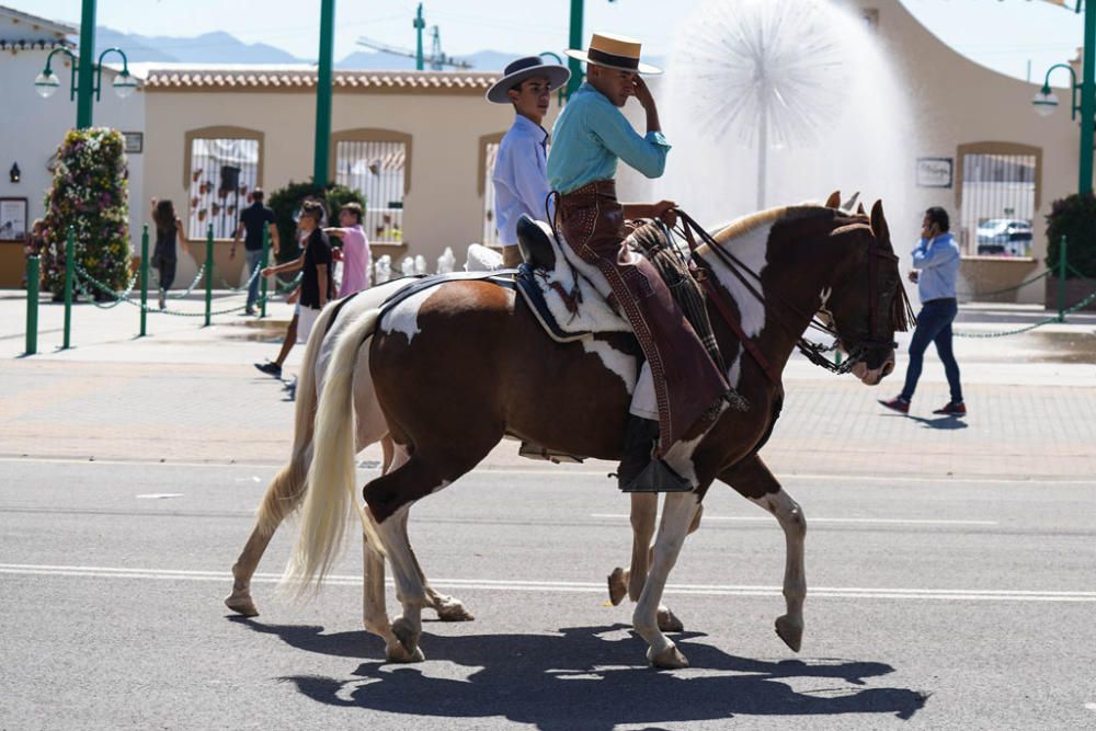 Primeros caballos en el Cortijo de Torres