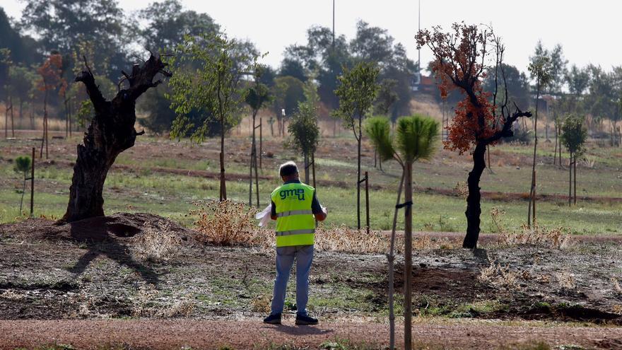 Los principales proyectos que recogen los presupuestos municipales de Córdoba para 2024