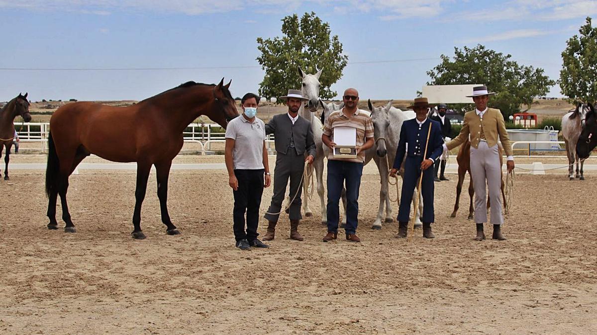 Entrega del premio a la mejor ganadería. / Macarena Falcó