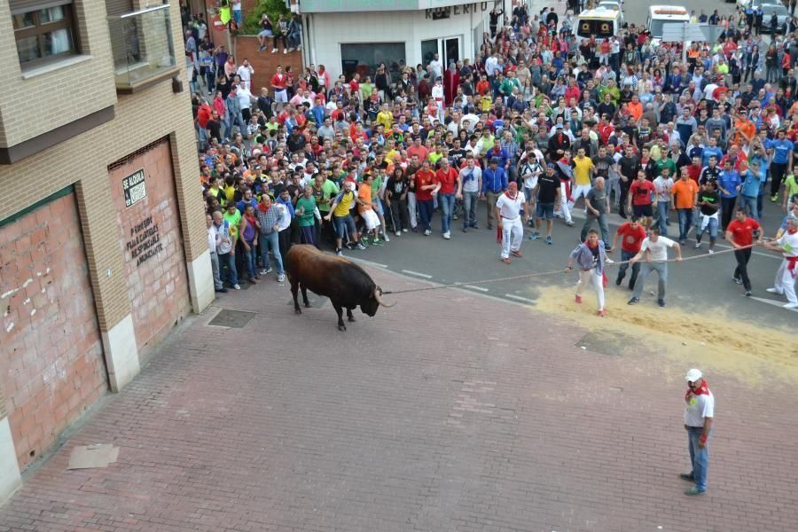 Carrera del Enmaromado 2016