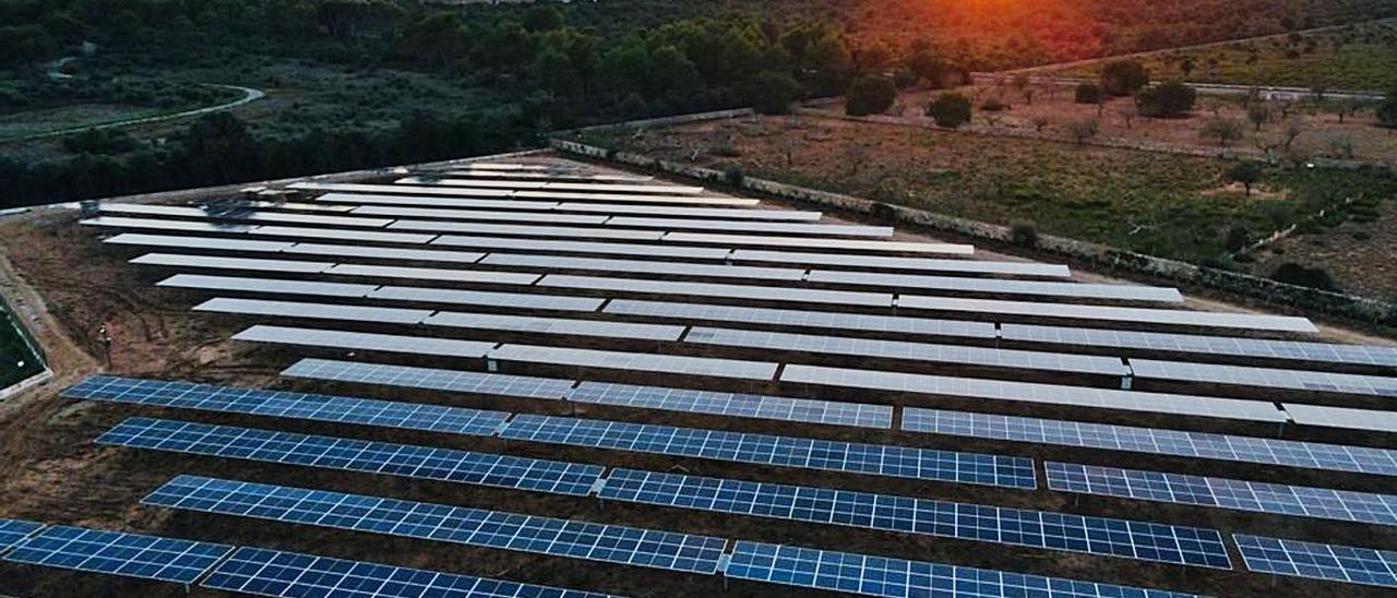 Parque fotovoltaico ubicado en Sant Llorenç. | B.CAPÓ