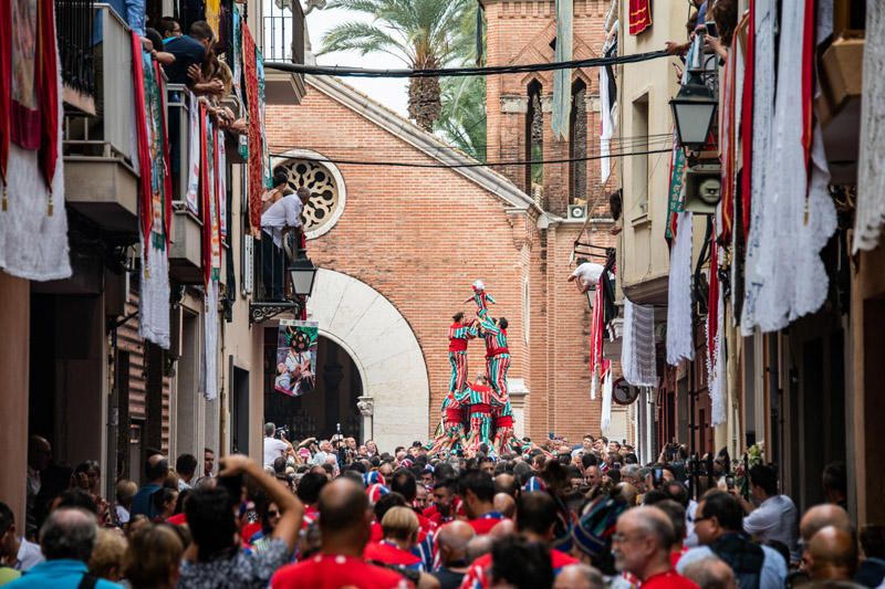 Festes de la Mare de Déu de la Salut de Algemesí