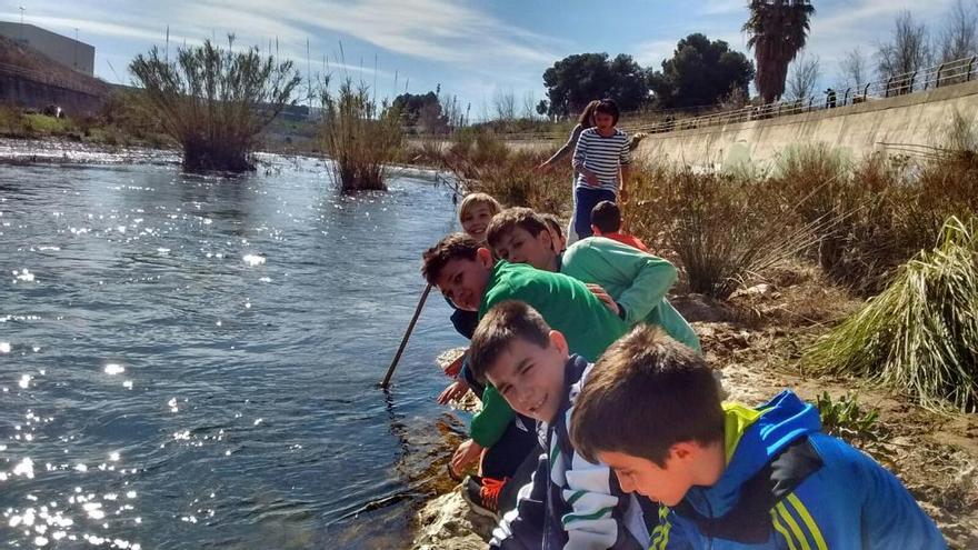 Alumnos de un colegio, en una actividad del programa de custodia del río Serpis en Gandia.