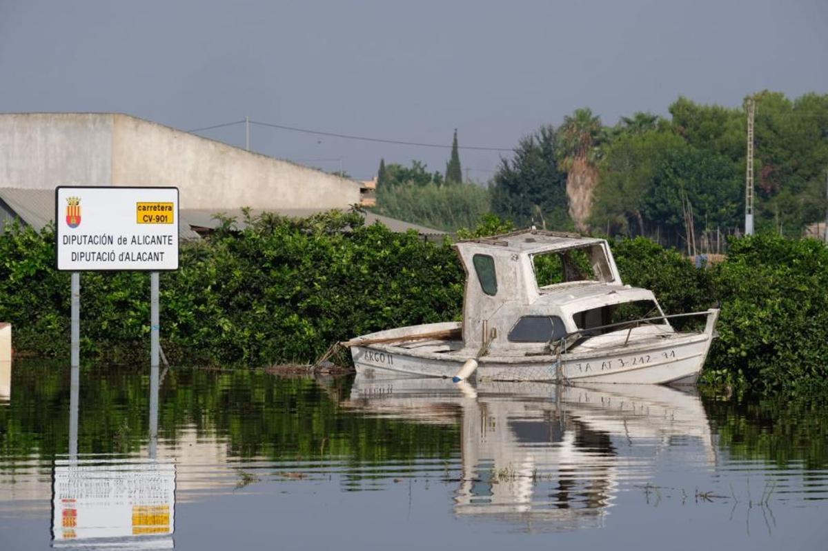 En directo: Los agricultores cifran en 550 millones las pérdidas en el campo de la provincia de Alicante