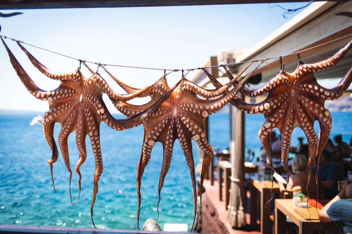Pulpo salvaje limpiado colgado en un paisaje costero de playa