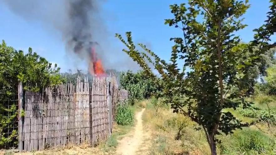 VÍDEO | Incendi de vegetació al costat de l'N-260 a Llançà