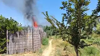 Incendi de vegetació al costat de l'N-260 a Llançà