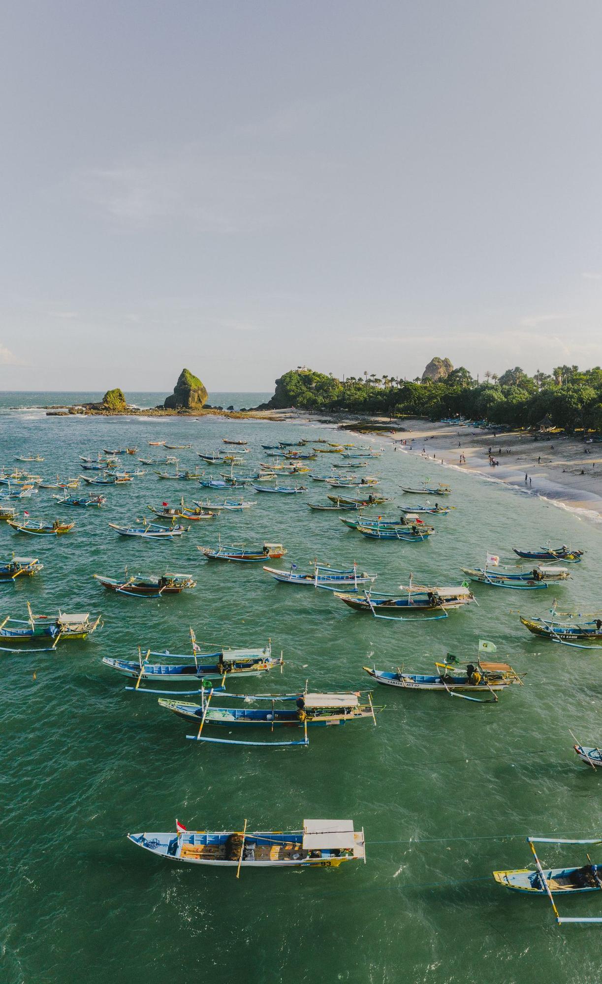 La fauna de la Isla de Java ha sido afectada por el calentamiento global.