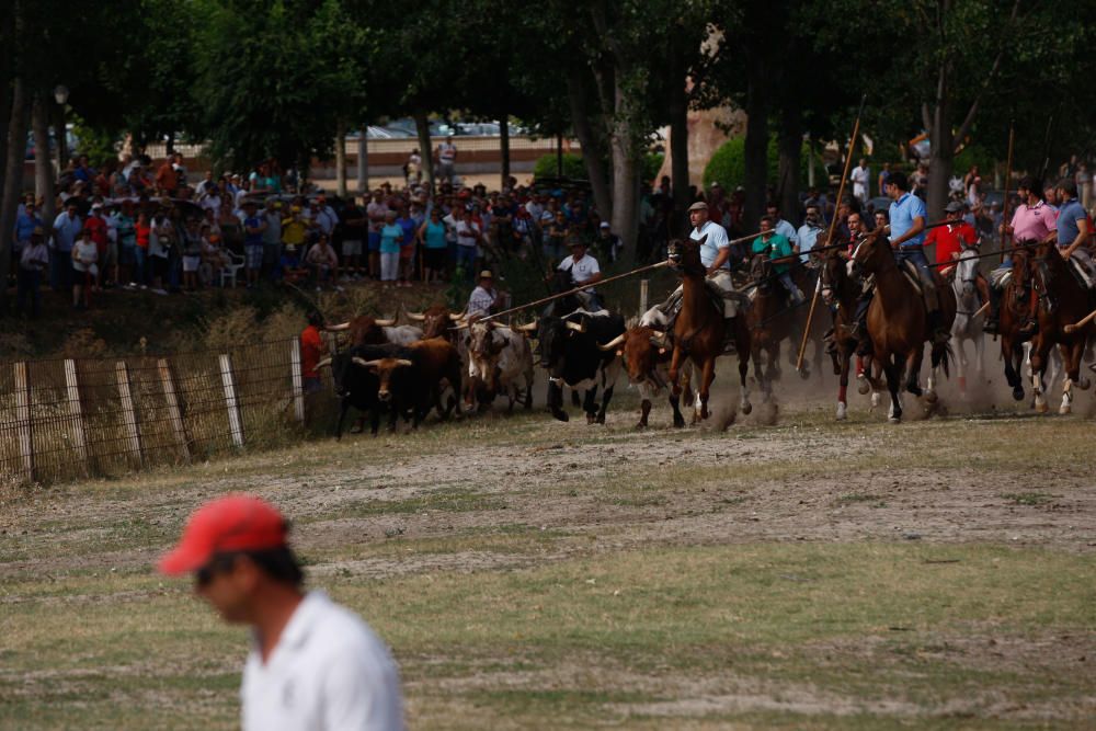 Espantes de Fuentelapeña