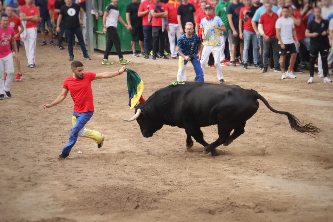 Las fotos del intenso miércoles taurino de la Fira d'Onda con seis toros